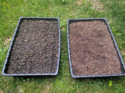 Growing Lettuce with EcoScraps Raised-Bed Garden Mix Image